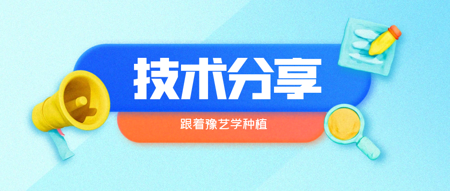 秋大棚辣椒、番茄育苗關(guān)鍵技術(shù)分享
